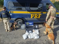 PRF e PF apreendem entorpecentes em Guarapari