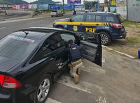 PRF recupera carro clonado em Cariacica