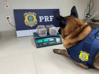 PRF apreende quase 3 kg de haxixe em ônibus e prende homem por tráfico em Guarapari