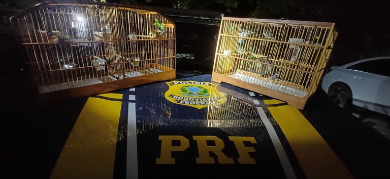 WhatsApp Image 2026-02-25 at 7.11.01 AM.jpeg