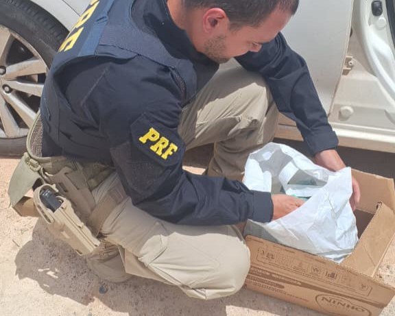 WhatsApp Image 2026-01-29 at 12.22.13.jpeg