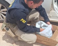 PRF apreende arma de fogo e R$ 40 mil após tentativa de fuga na BR-101, em Jaguaré