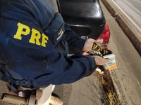 PRF detém homem por tráfico de drogas na BR 101