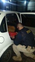 PRF apreende dois tabletes de maconha na BR 101