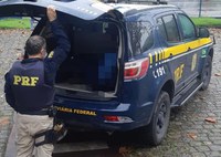 PRF detém foragido da justiça na BR 101 em Linhares/ES