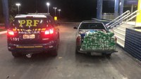 PRF apreende 103 kg de maconha em Brejetuba (ES)