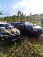 11 milhões de prejuízo ao tráfico