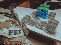 Grupo de Operações com Cães da PRF apreende 11kg de maconha na BR 153, na região metropolitana de Goiânia