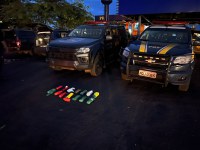 Ação conjunta causa quase 2 milhões de prejuízo ao tráfico em Rio Verde (GO)