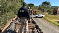 Na Semana do Meio Ambiente, PRF apreende grande carregamento de madeira irregular em Goiás