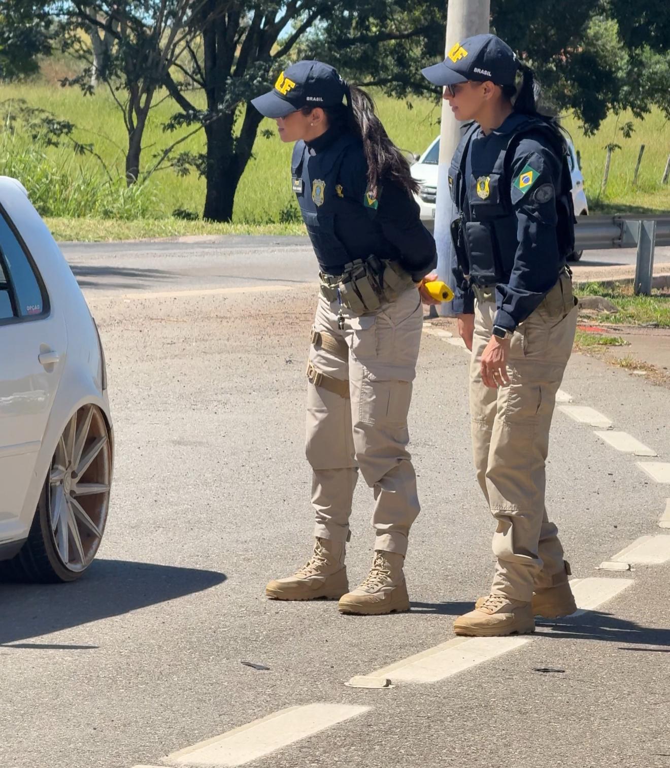 Operação Rosas de Aço