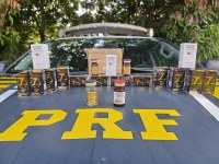 PRF apreende anabolizantes ilegais em ônibus de passageiros na BR-153