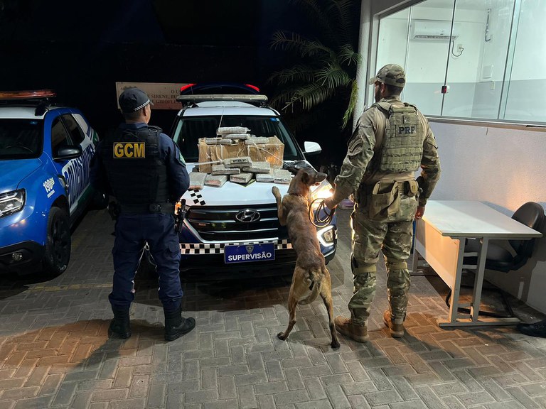 WhatsApp Image 2025-10-01 at 11.08.36.jpeg