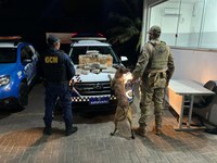PRF e GCM apreendem cerca de 30kg de skunk em Goiânia
