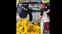 PRF apreende mais de 100 kg de maconha escondidos em picape na BR-060, em Anápolis