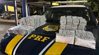 Cerca 45 mil comprimidos de rebite são apreendidos na BR-153, em Porangatu