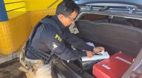 Policial Rodoviário Federal inspeciona tabletes de droga armazenados no porta-malas de um veículo