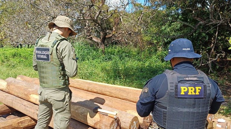 WhatsApp Image 2026-03-30 at 09.57.42.jpeg