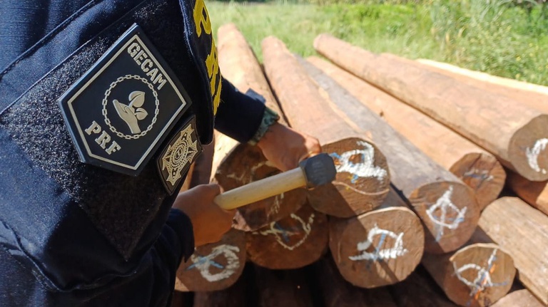 WhatsApp Image 2026-03-30 at 09.57.43.jpeg