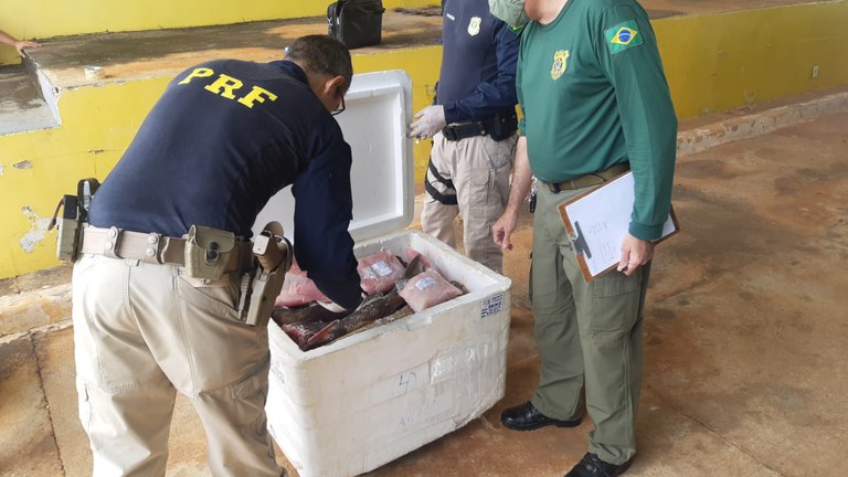 Em ação conjunta, PRF e IBAMA apreendem quase uma tonelada de pescado irregular na BR 060