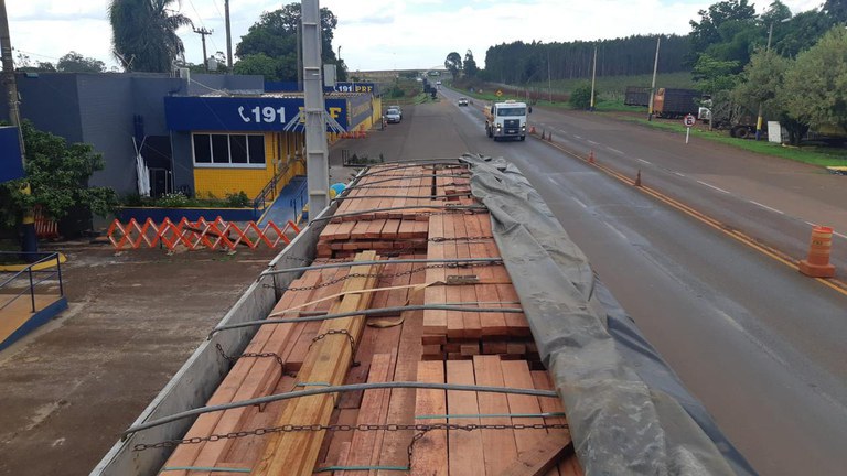 Apreensões de madeira crescem em Goiás