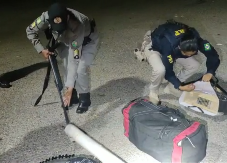 Passageiro de ônibus é preso transportando aves em caixas e espingarda em cano de PVC