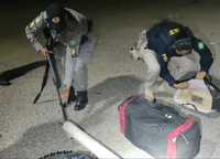 Passageiro de ônibus é preso transportando aves em caixas e espingarda em cano de PVC