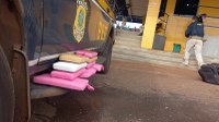 PRF apreende maconha misturada a pó de café na BR 060, em Rio Verde