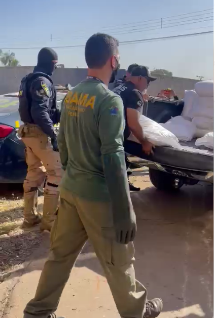 Ação apreende cerca de 4 toneladas de agrotóxicos adulterados em Goiânia