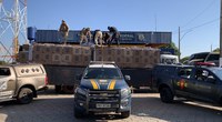 Operação conjunta entre PRF/MS, PRF/GO e PMGO apreende carga de cigarros contrabandeados