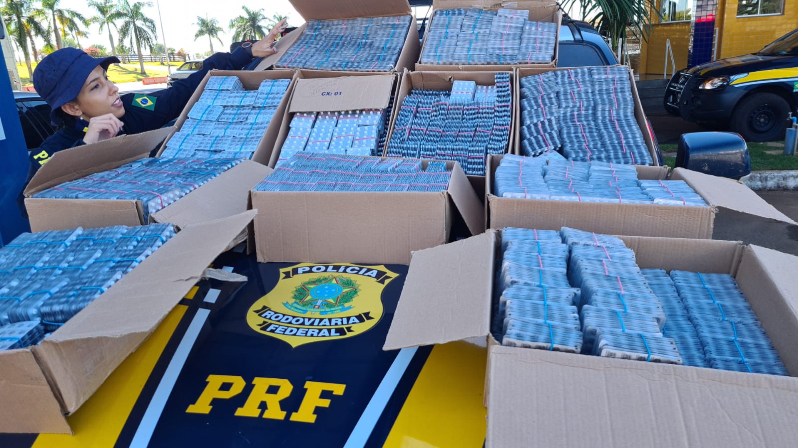 Medicamentos apreendidos em Anápolis