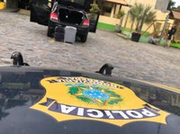 PRF prende em SP homem em fuga suspeito de assassinar ex-companheira em Goiânia