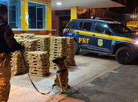Fechando o cerco, PRF apreende quase 2 toneladas de maconha em BRs  goianas