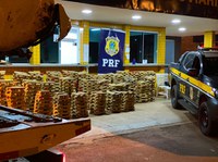 PRF apreende mais de uma tonelada de maconha após carro capotar, em Jataí
