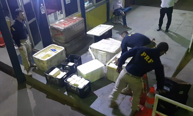 PRF apreende quase meia tonelada de queijo transportado de forma irregular