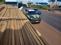 PRF apreende 30m³ de madeira ilegal no sudoeste goiano