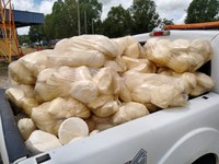 PRF e Agrodefesa apreendem mais de meia tonelada de queijo estragado na BR 060, em Abadia de Goiás