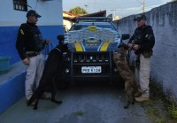 Motorista de ônibus é preso com carga milionária de droga na GO 060, em Firminópolis(GO).