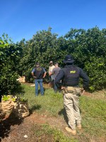 Trabalhadores rurais são resgatados durante fiscalização no estado de Goiás