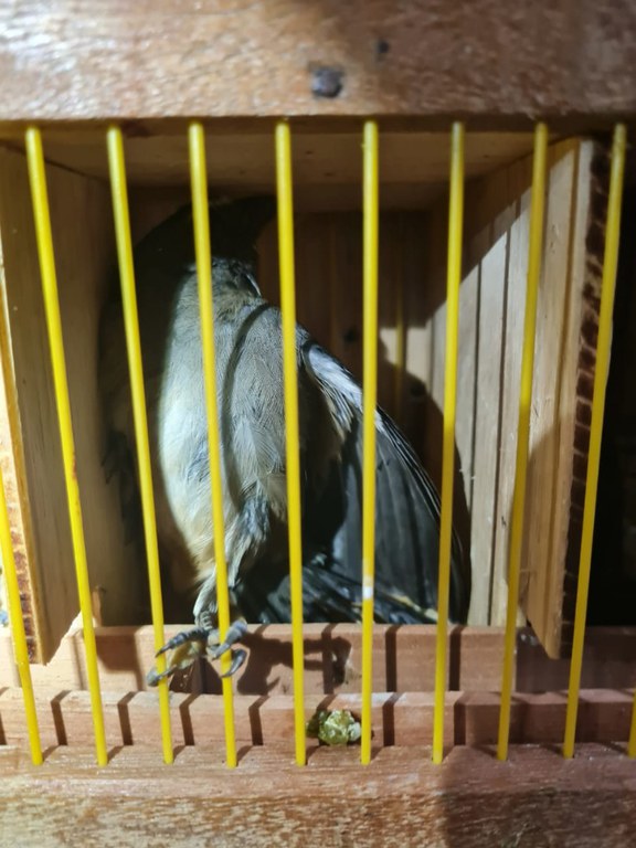 WhatsApp Image 2022-09-02 at 09.36.13 (3).jpeg