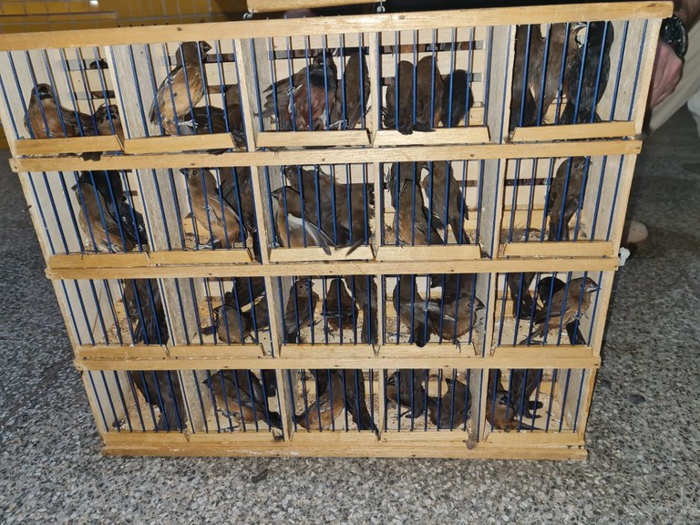 WhatsApp Image 2022-09-02 at 09.36.13.jpeg