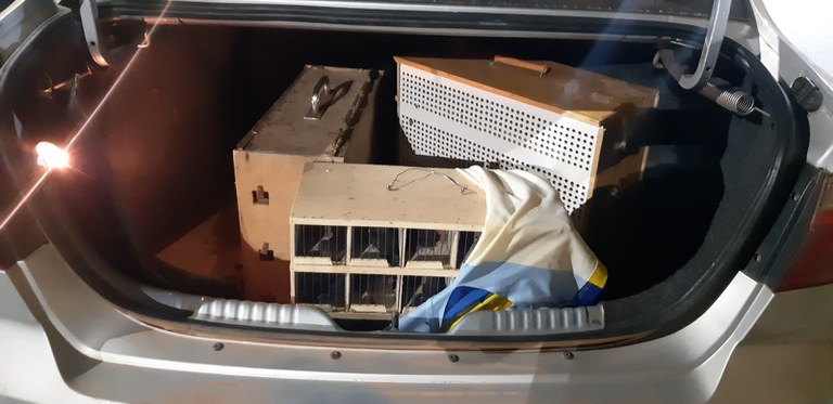 WhatsApp Image 2022-09-02 at 09.36.14 (1).jpeg