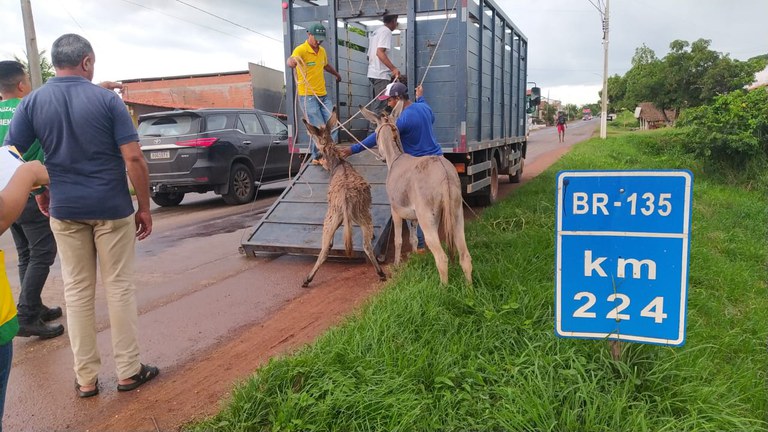 WhatsApp Image 2023-01-20 at 12.38.33 (1).jpeg