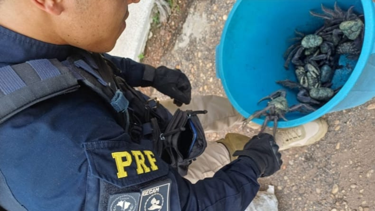 PRF (Imperatriz - MA)