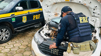 PRF recupera onze veículos durante Operação Escudo Rodoviário no Maranhão