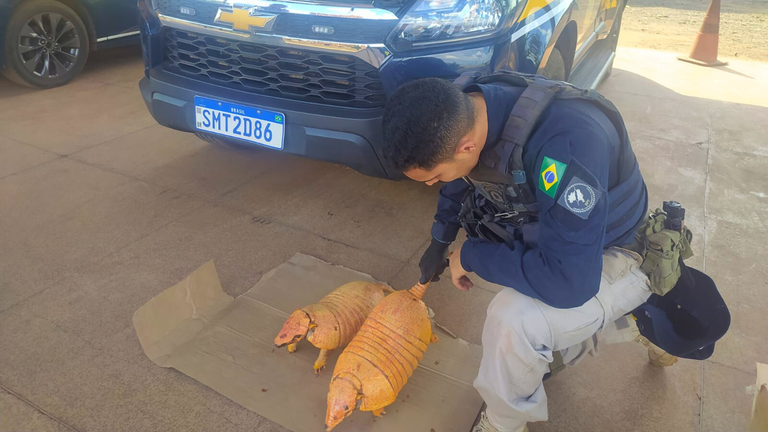 Cópia de Cópia de Cópia de Cópia de Cópia de Design sem nome (18).png