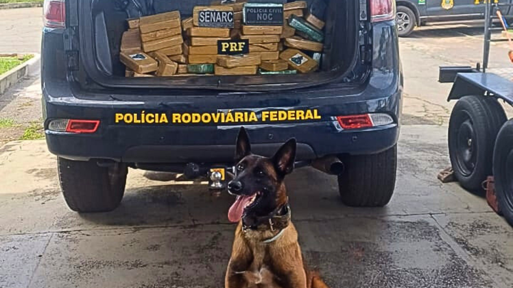 Apreensão de drogas na BR-135, em São Luís (MA)