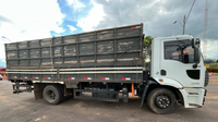 PRF flagra transporte irregular de animais na BR-010 em Imperatriz (MA)