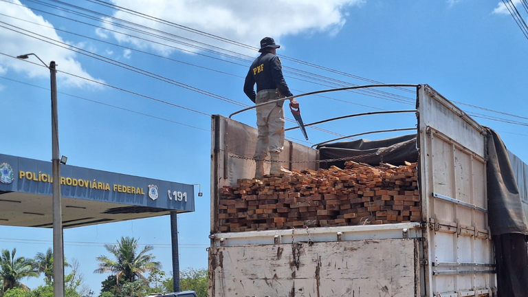 Bone White Simple Still Growing Desktop Wallpaper (6).png