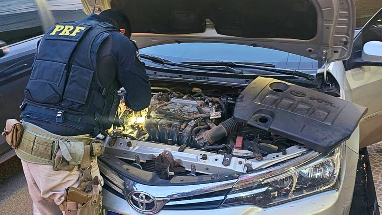 Design sem nome (43).png